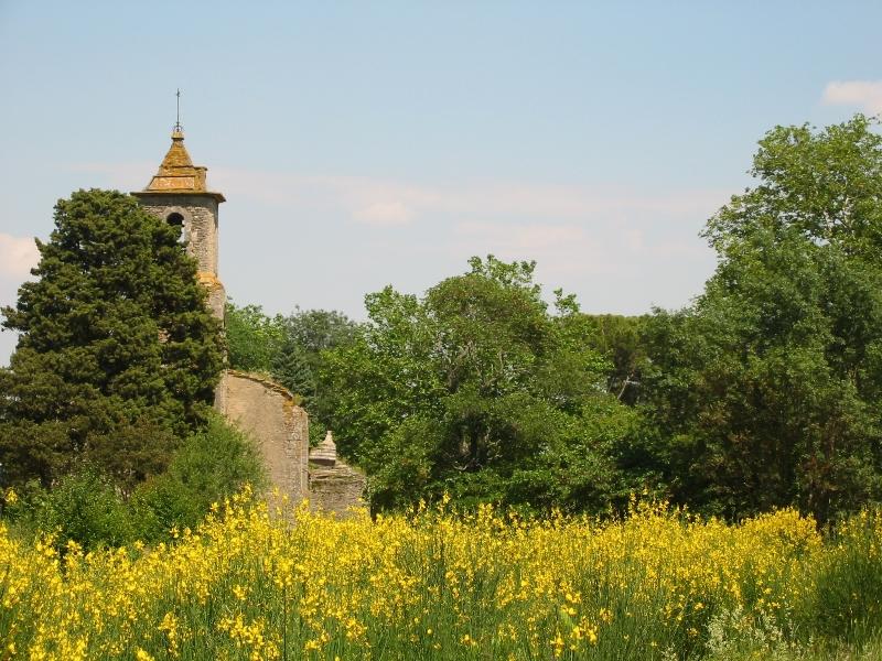 Chateau du XIIeme siecle avec vignoble